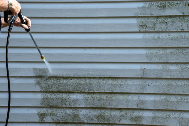 Best Yard Waste Removal  in Branson, MO